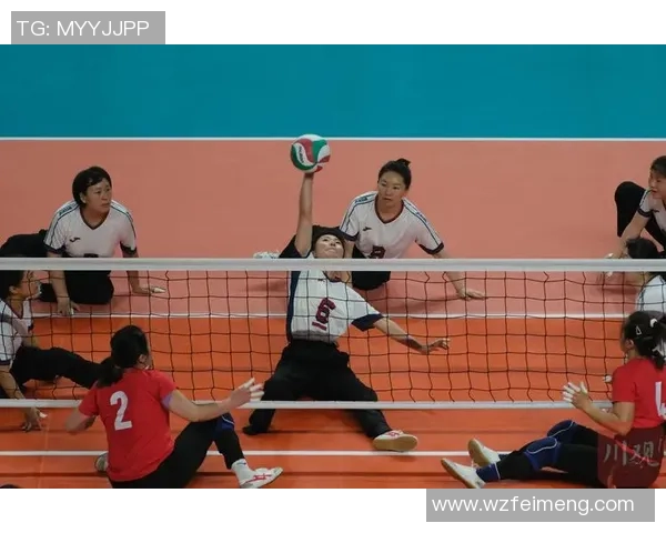 重庆排球队的转换战术解析与实战应用探讨