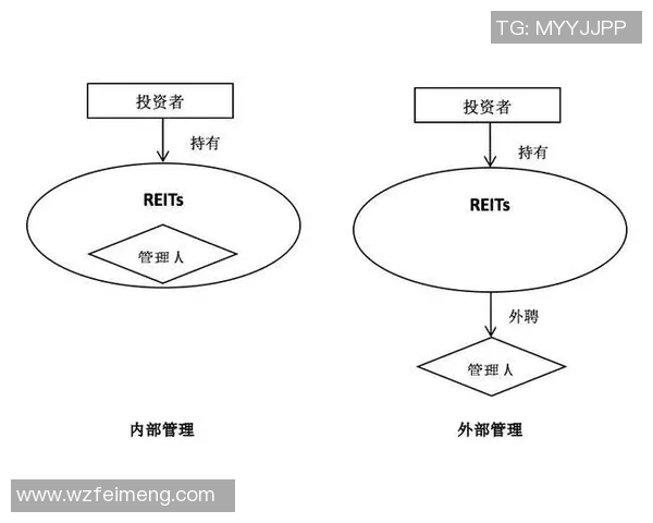 重庆羽毛球队整体表现分析：压制与失误的双重影响探讨