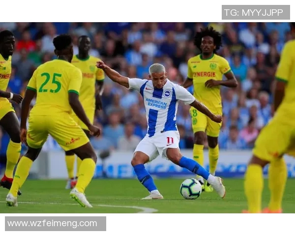 南特足球明星排名揭晓谁是球队的顶尖球员和未来之星